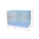 Bird Cage | C01A/603