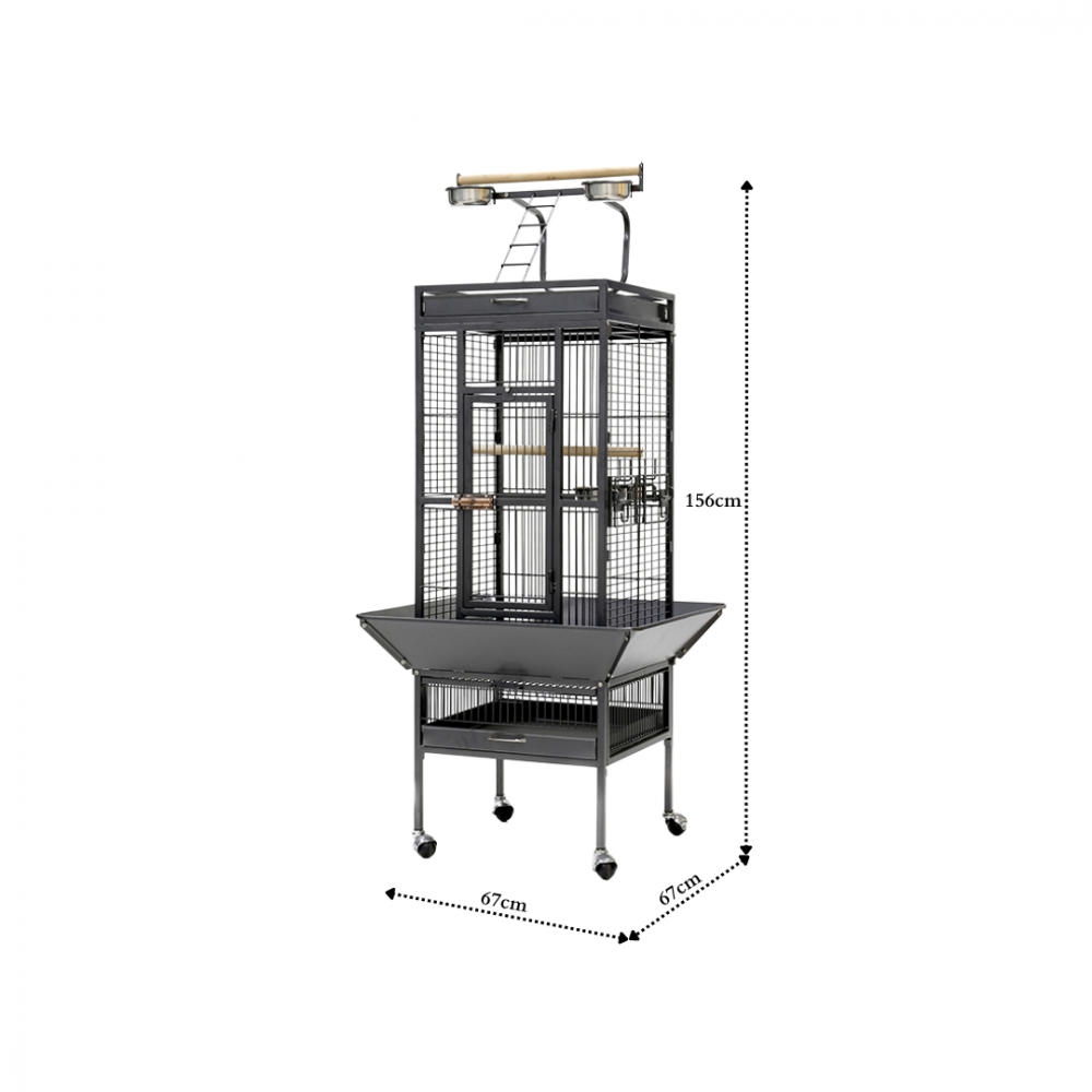 Parrot Cage | A10 