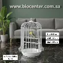 Bird Cage | A410          
