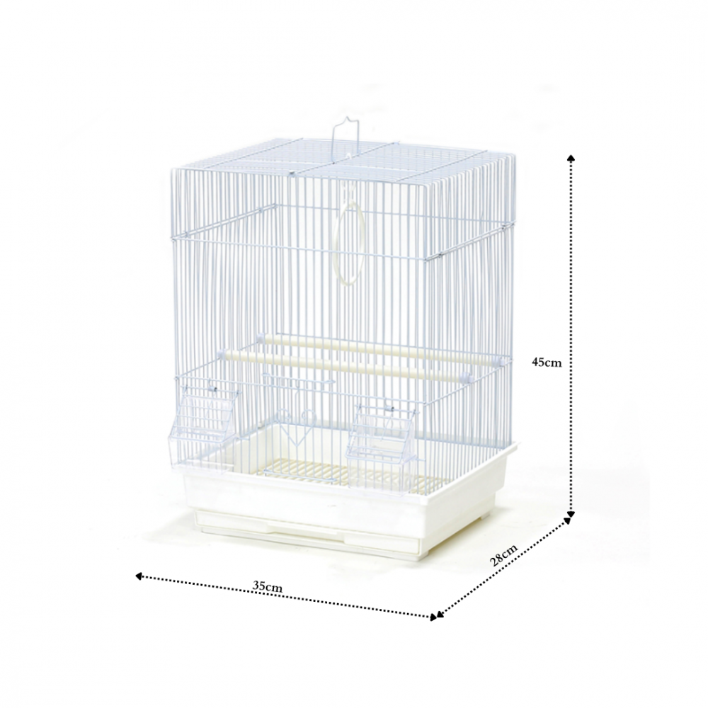 Bird Cage | A405