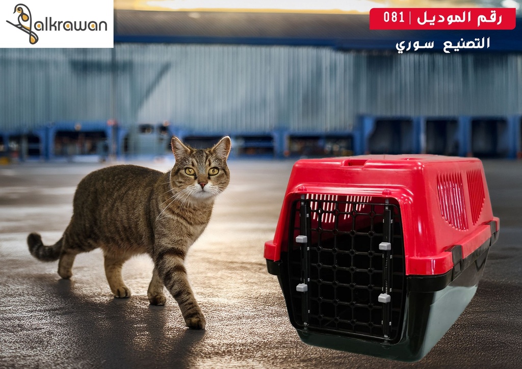Cat Carrier | 081 | Syrian