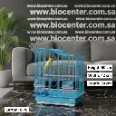 Bird Cage | 613/A3513           