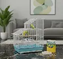 Bird Cage | A3514