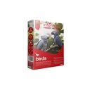 Internutri | Parrot Mix |1kg