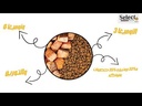 Select By Monello Adult Cat | Skin & Coat-1.5kg