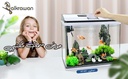 Perfect | Fish Aquarium | AF-245