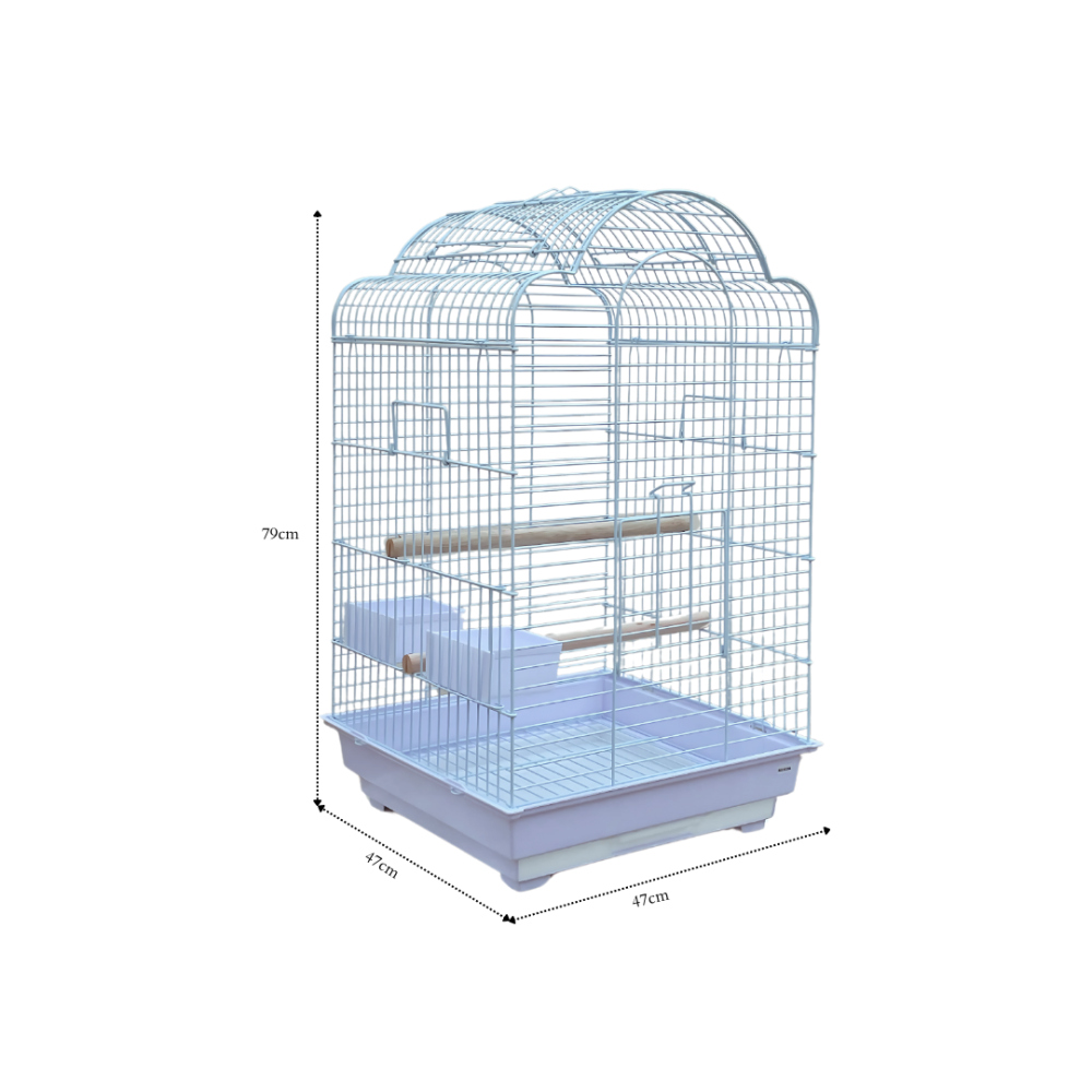 Bird Cage | A5005 