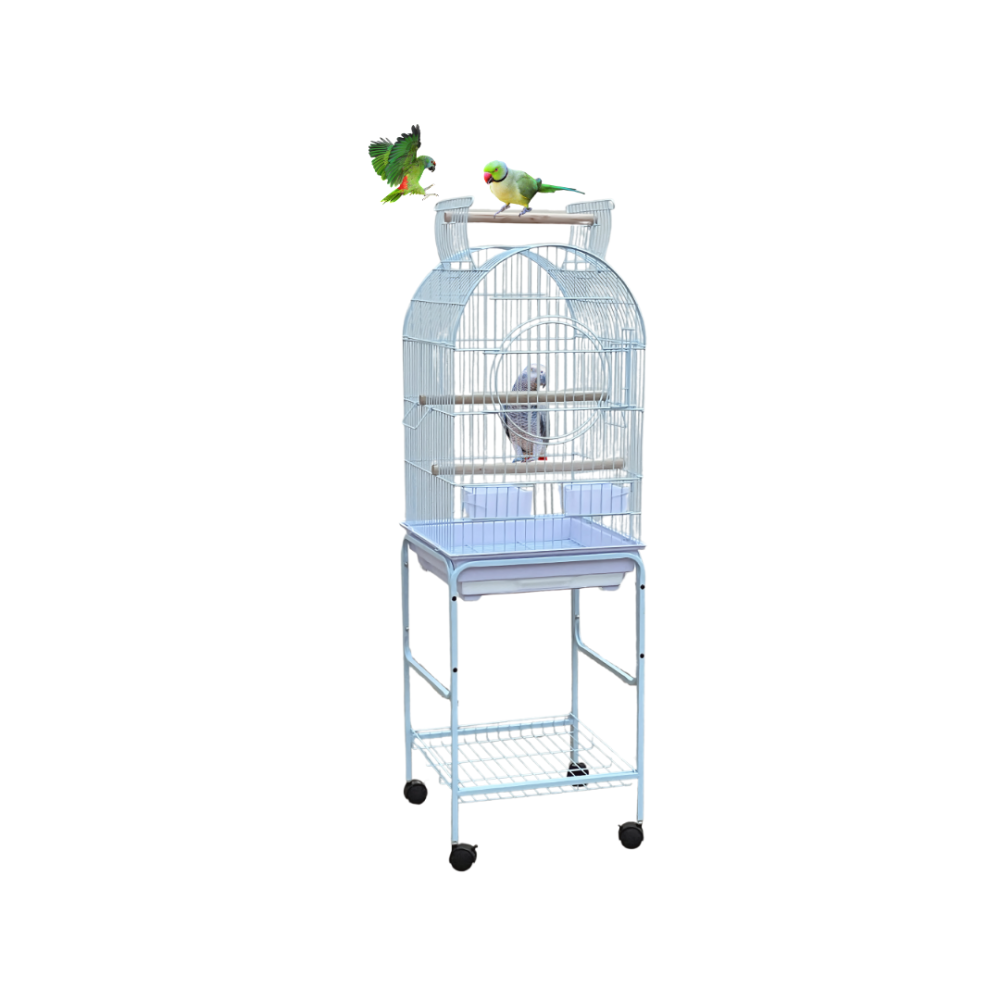 Cage Stand- BS07 