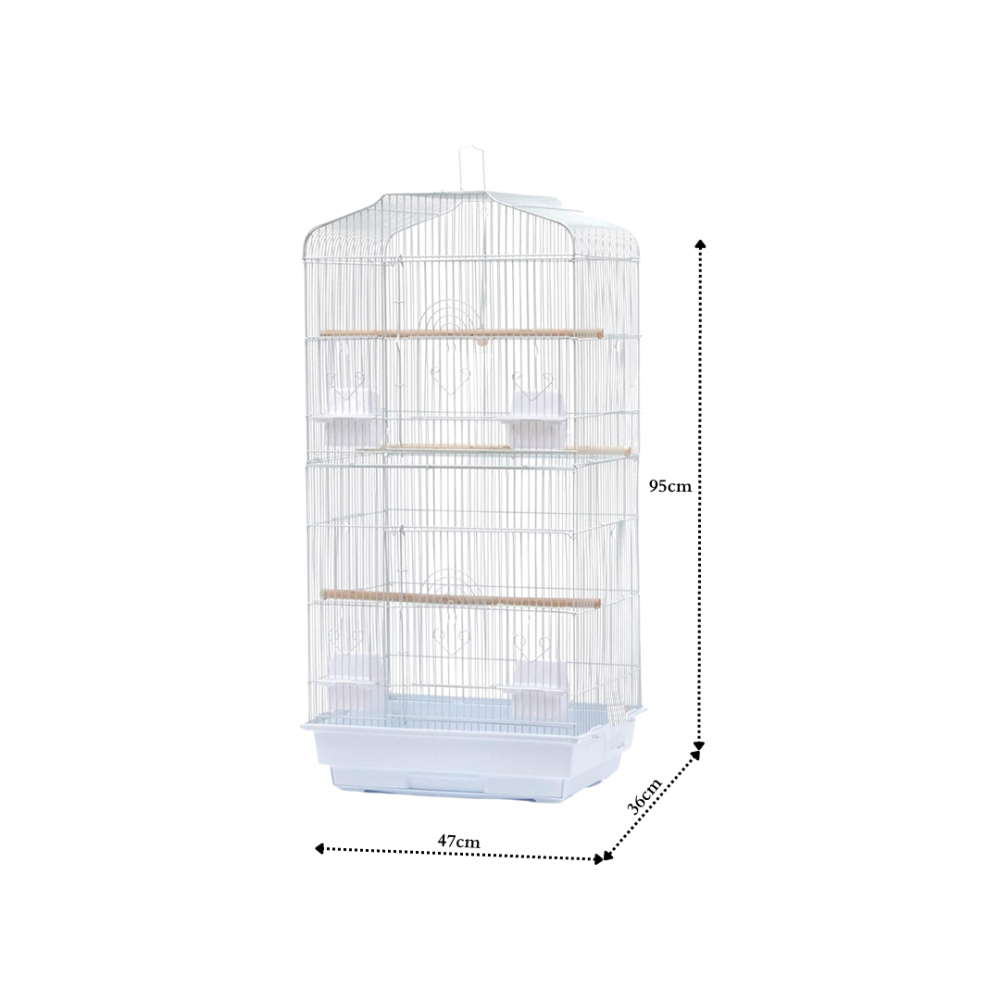 Bird Cage | 4002