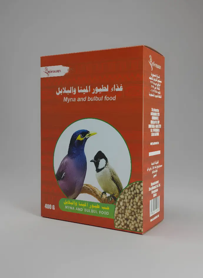 Myna-A.webp