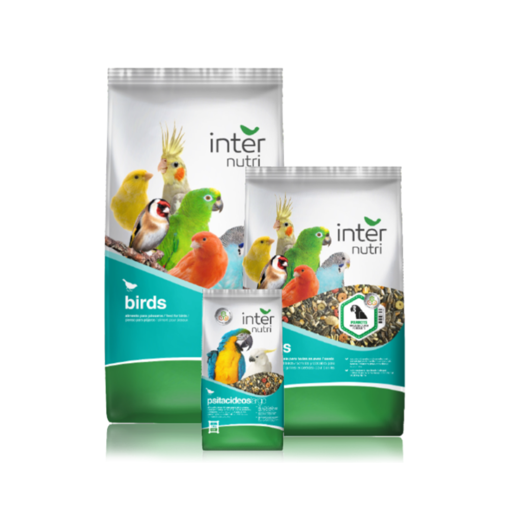 Internutri | Parrot Fruit Mixture |15kg (copy)