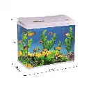 Fish Aquarium  | PY580