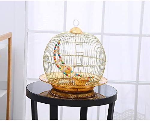 Bird Cage Gold | 350G