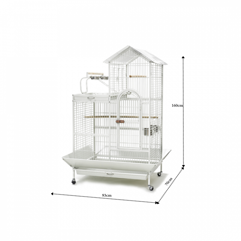 Bird Cage | A17            