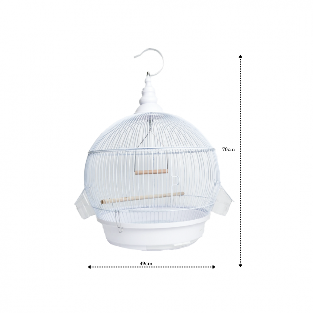 Bird Cage | C405