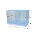 Bird Cage | B804/601