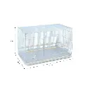  Bird Cage | 601
