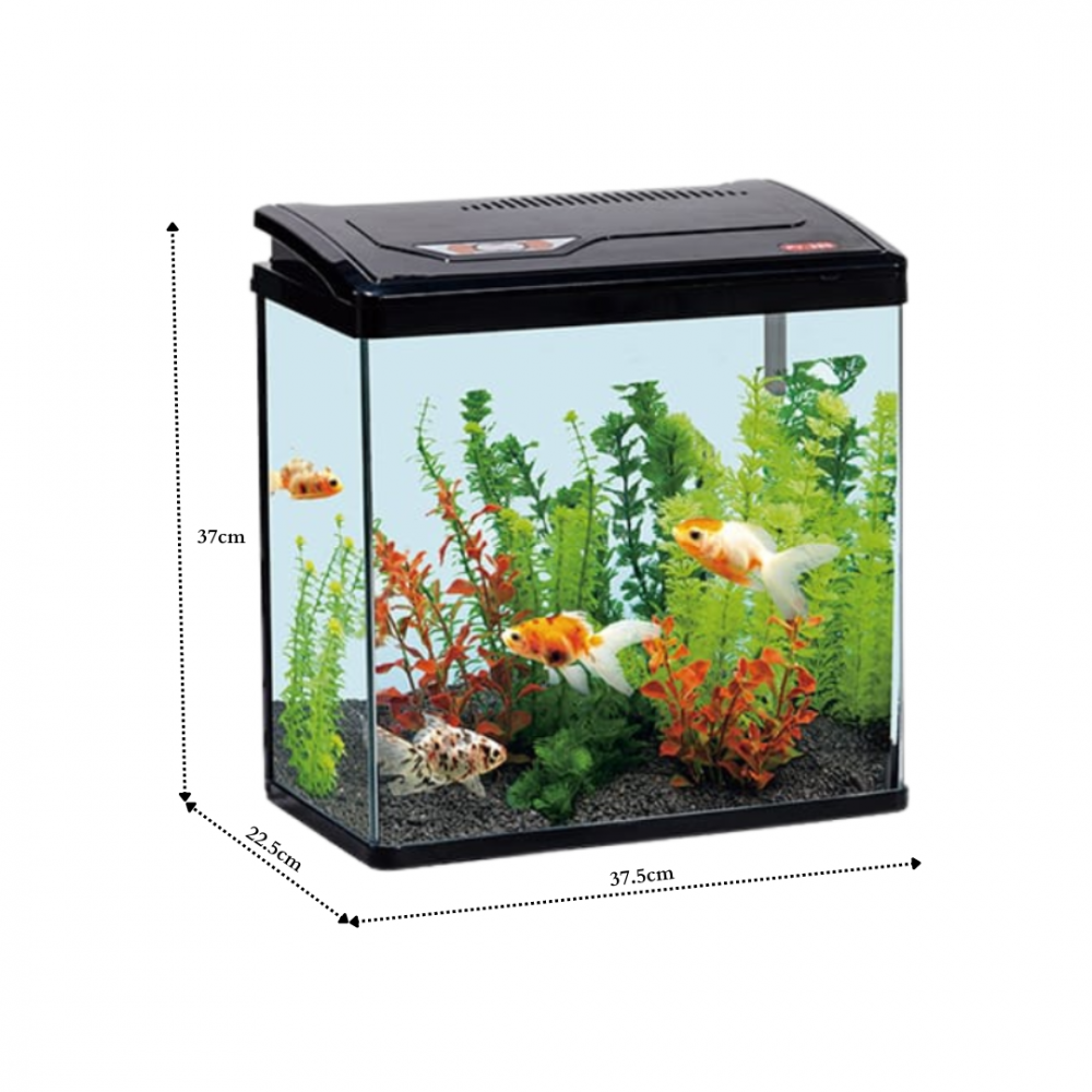 Fish Aquarium | PY380