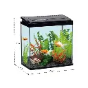 Fish Aquarium | PY380