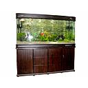 Fish Aquarium- Black