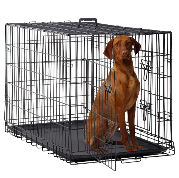 Dog Cage 