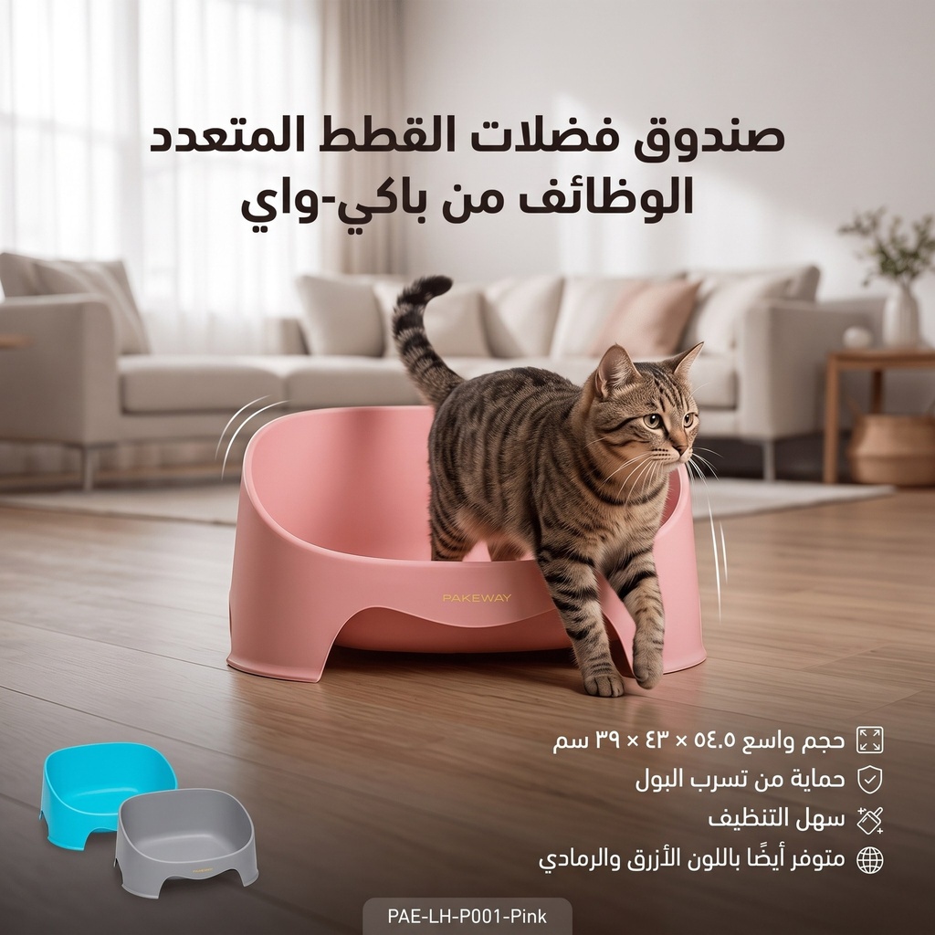 Modern Cat Tray