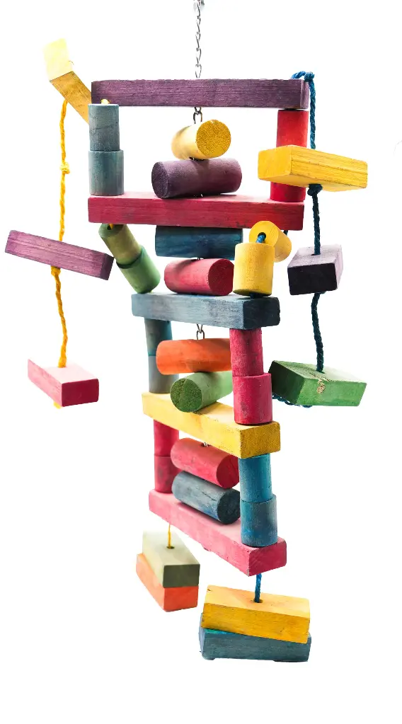 Parrot Wood Toys
