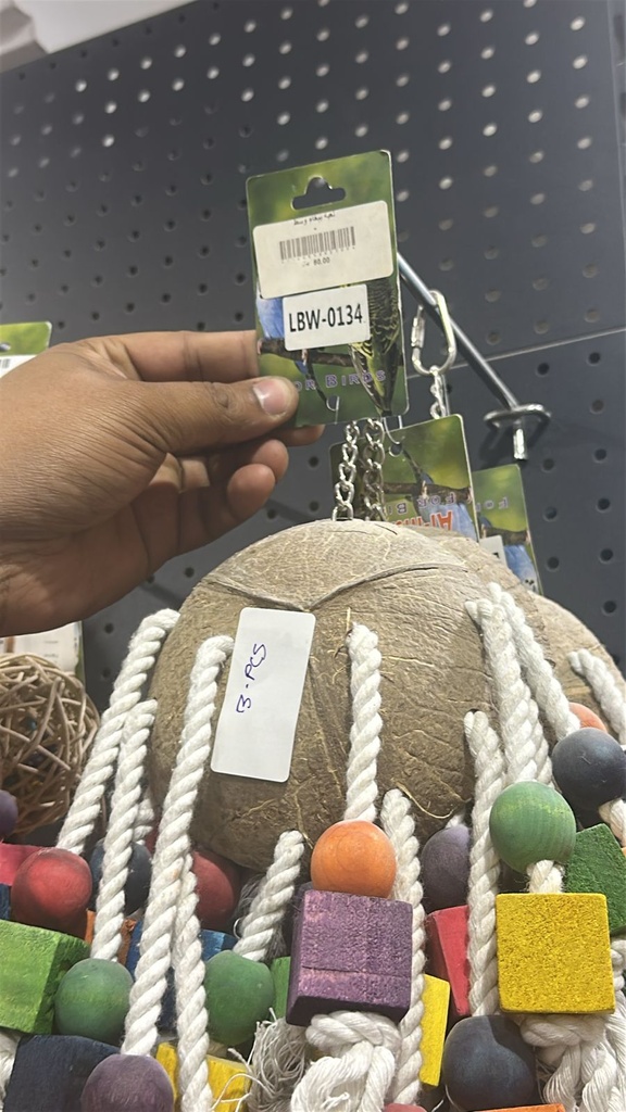 Parrot Wood Toys
