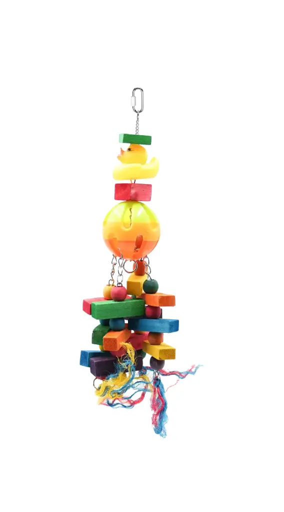 Parrot Wood Toys