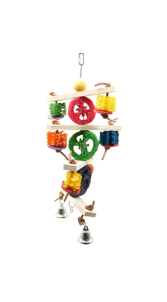Parrot Wood Toys