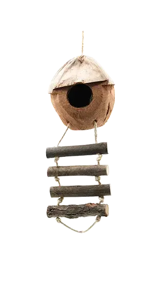 Bird Toys