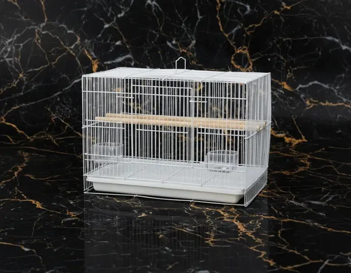 Bird Cage | 600 | 10Pc