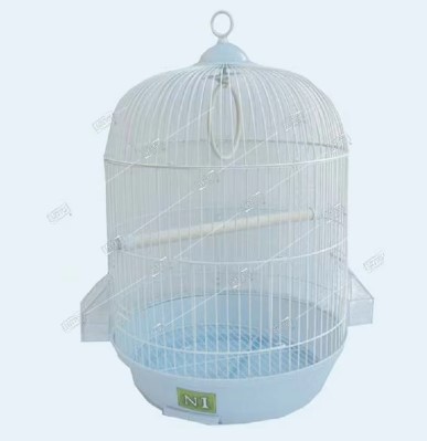 Bird Cage | 301W