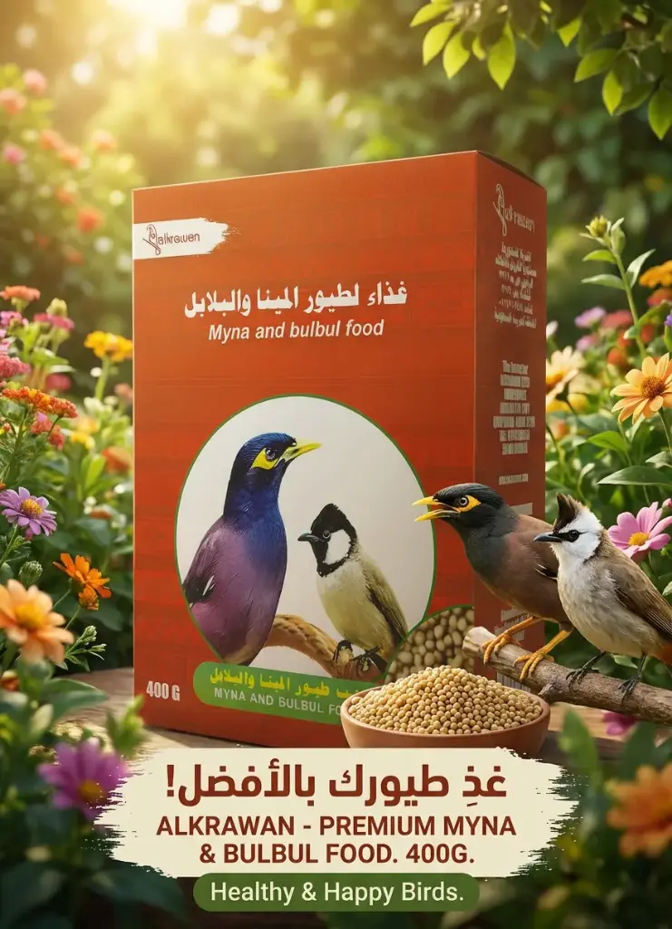 Siso Myna And BulBul Food- 400gm