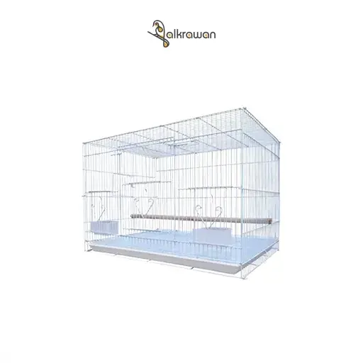 Bird Cage | B05