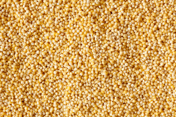 Ukraine|Yellow Millet|20kg