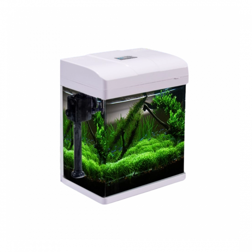 Perfect | Fish Aquarium | PF285