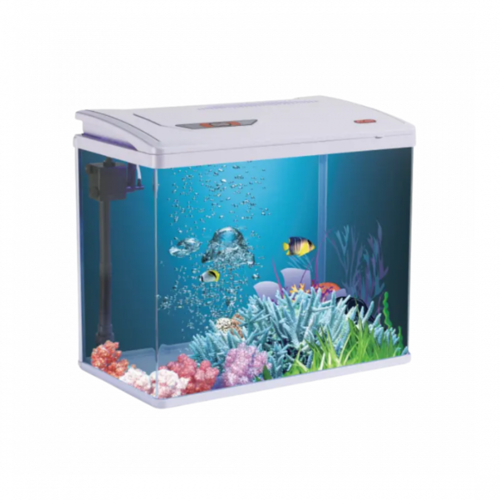 Fish Aquarium | PY480
