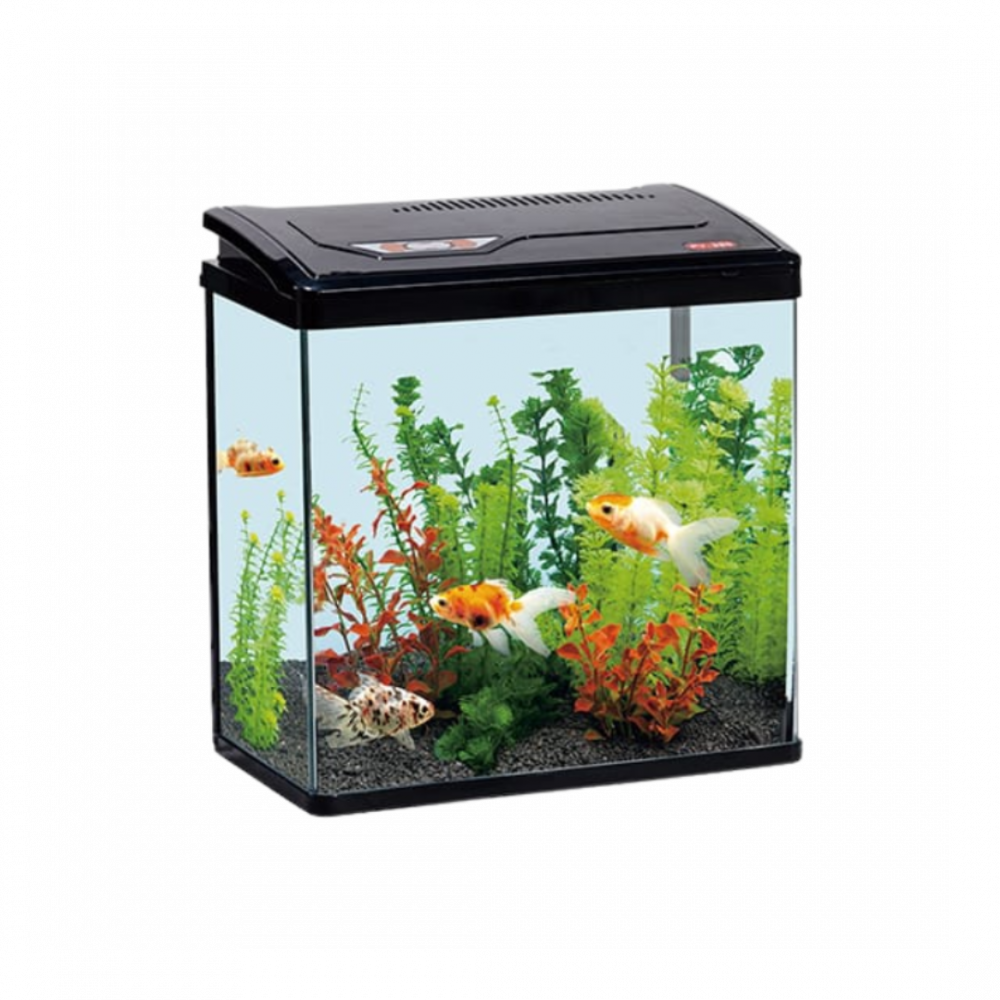 Pufeit | Fish Aquarium | PY380
