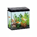 Fish Aquarium | PY380