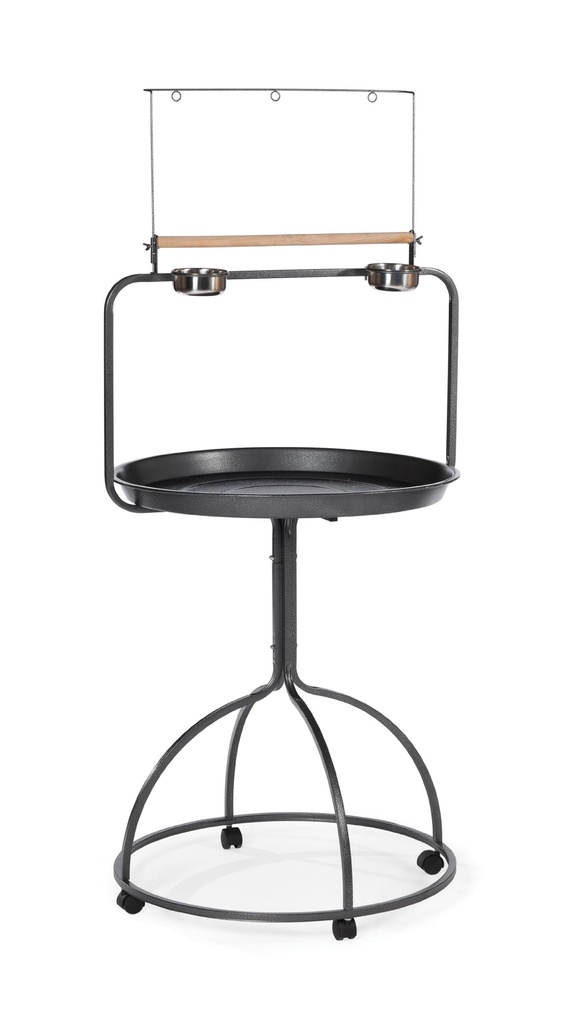 Parrot Stand | E32