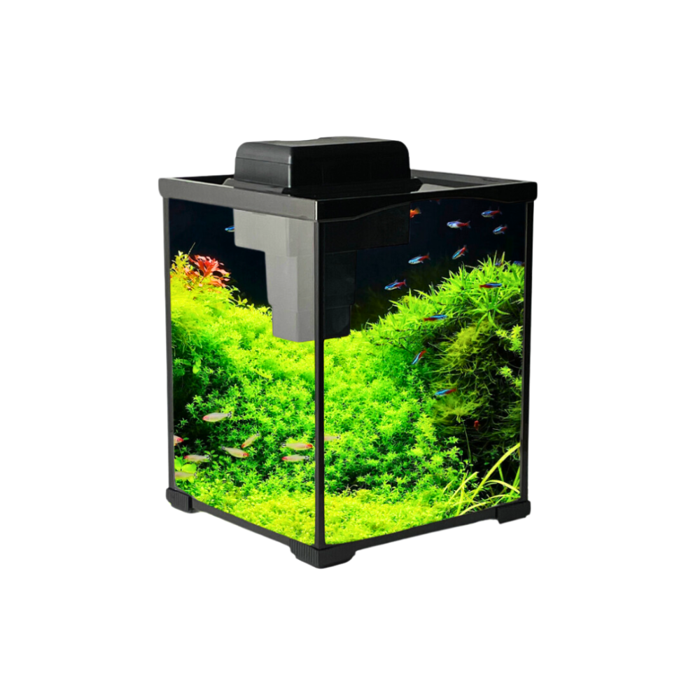 Leecom | Aquarium | XK250