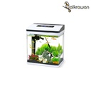 Pufeit | Fish Aquarium | AF-245
