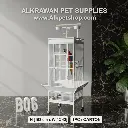 قفص ببغاء | B06 (A11)