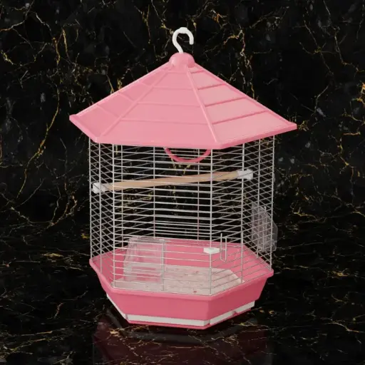Bird Cage |  322