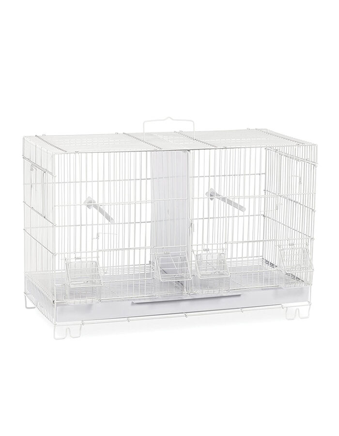 Bird Cage |  A601(503)