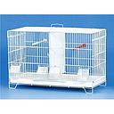 Bird Cage | A6022