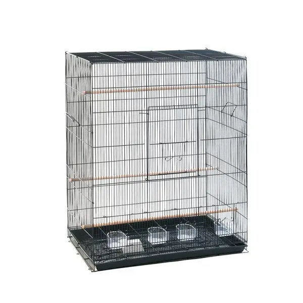 Bird Cage | 611           