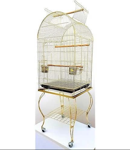 Bird Cage B/W | BE01