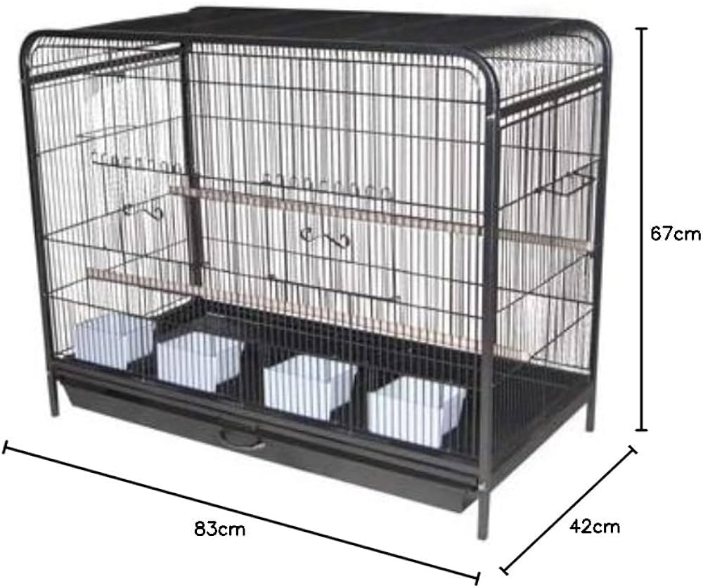Bird Cage |  D630